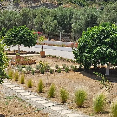 Oleander Ermioni